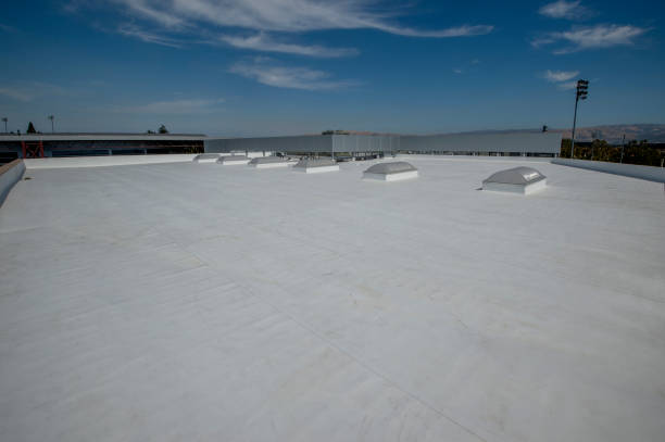 Best Roof Ventilation Installation  in Mcewen, TN