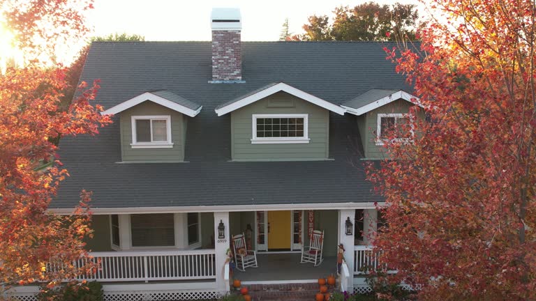 Best Gutter Installation and Repair  in Mcewen, TN